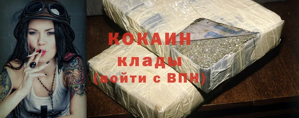 индика Янаул