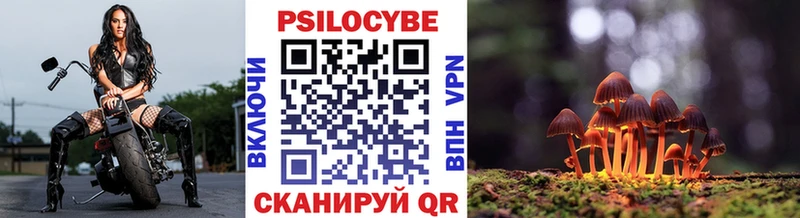 Галлюциногенные грибы MAGIC MUSHROOMS Тайга